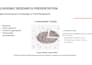 do professional web research and business data collection